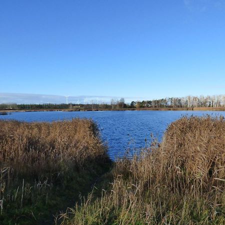 Uckermark "Ferienwohnung Sommerfugl " Passow  Exterior foto