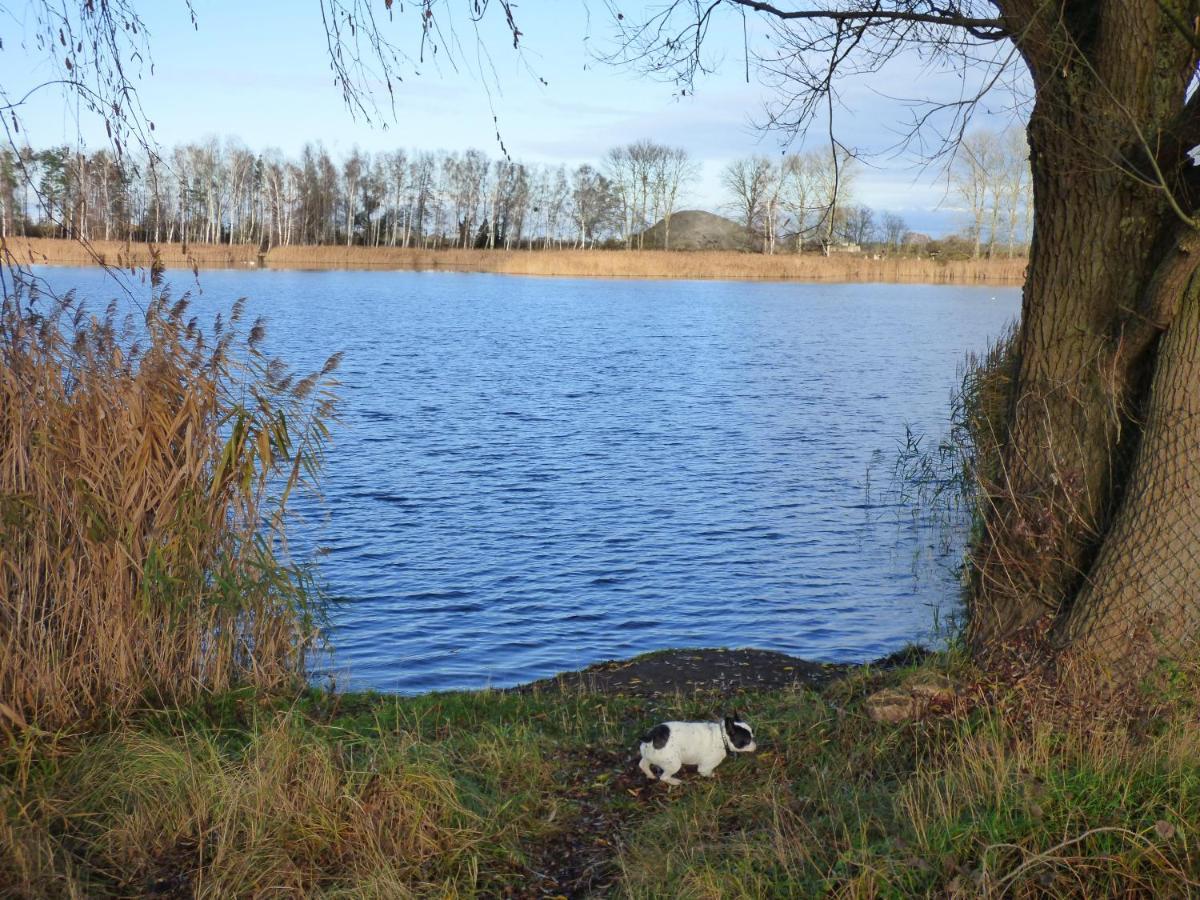 Uckermark "Ferienwohnung Sommerfugl " Passow  Exterior foto